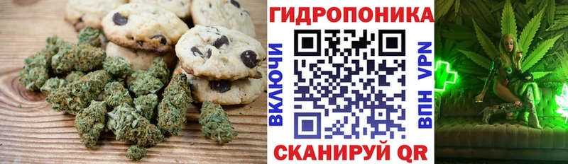 omg tor  закладка  Туринск  Еда ТГК конопля 