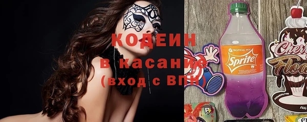 стаф Абаза