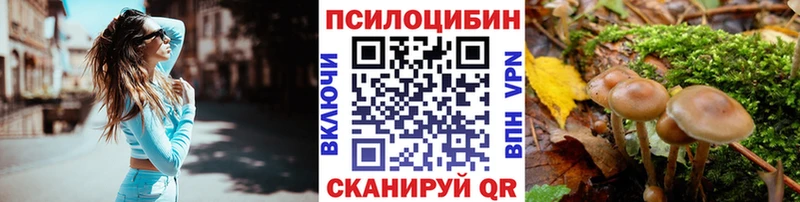 магазин  наркотиков  Туринск  Галлюциногенные грибы Cubensis 
