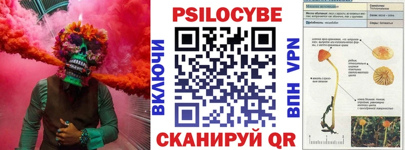 Псилоцибиновые грибы мицелий Туринск